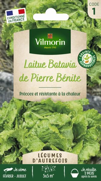Potagères - Laitue Batavia de Pierre Bénite - Légumes d'Autrefois - PACKAGING_RECTO